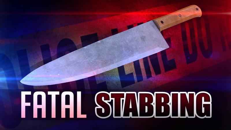 Autopsy report confirms Carroll County boy, 6, was stabbed to death