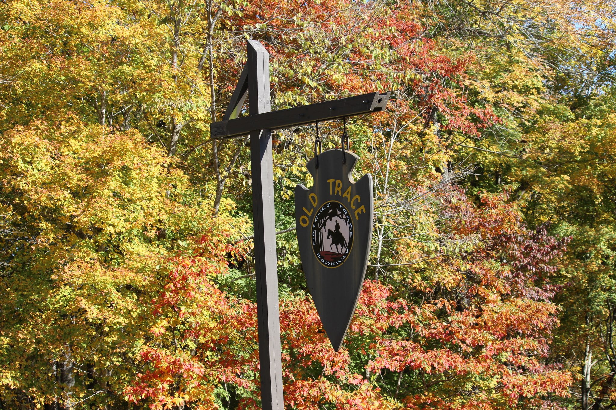 Reminder: Local cycling team to compete in Natchez Trace 444 Ride
