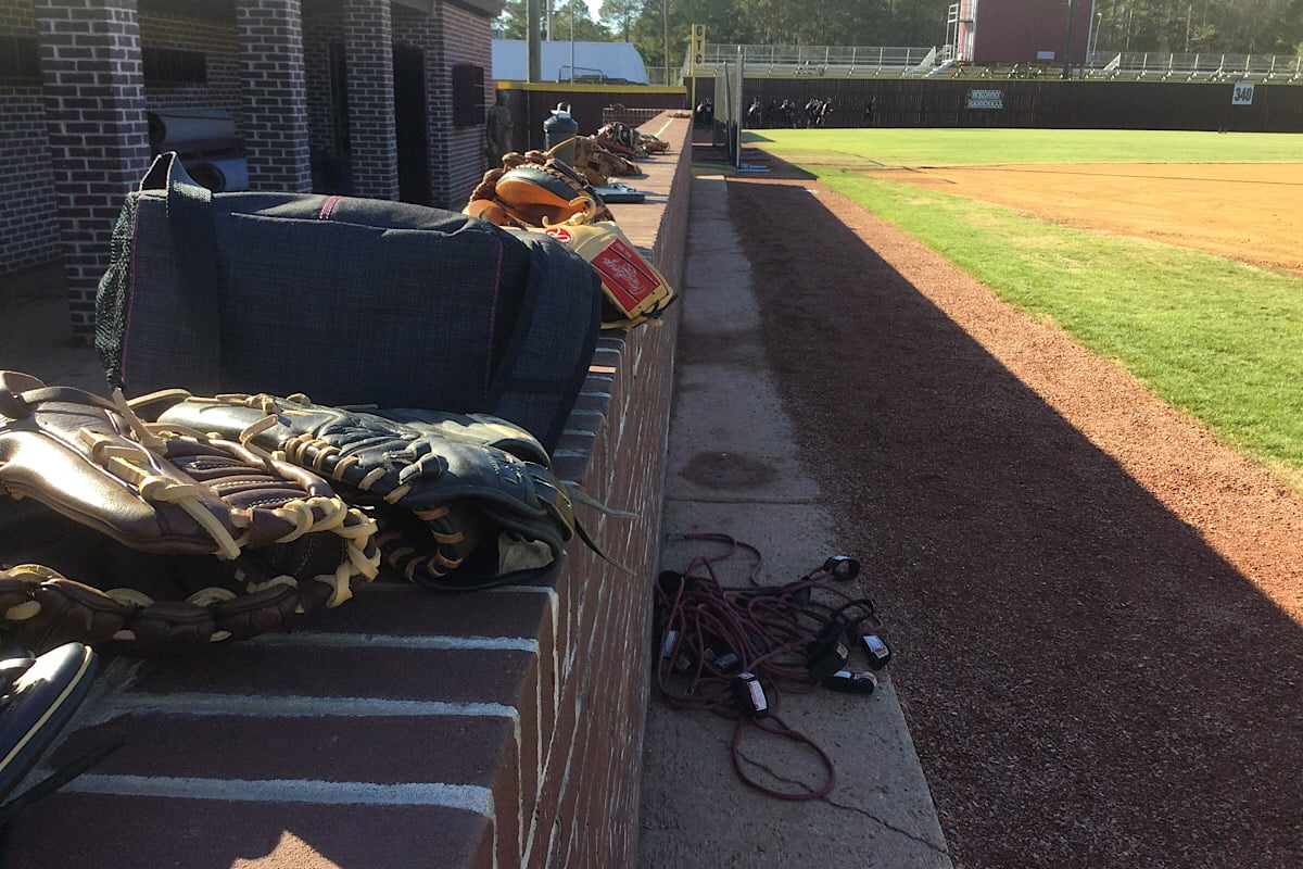 Whippets begin practice for spring sports (video)