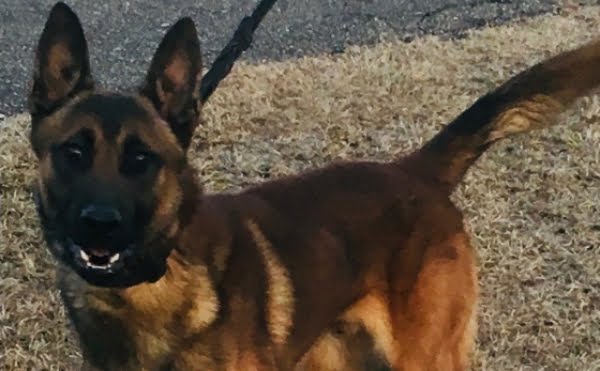 One Arrested on Felony Drug Charges After Search Warrant