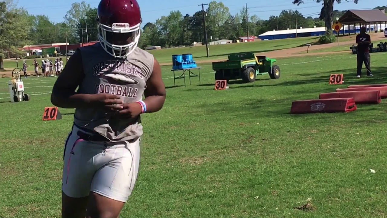 Whippets take to the field for spring football (video)