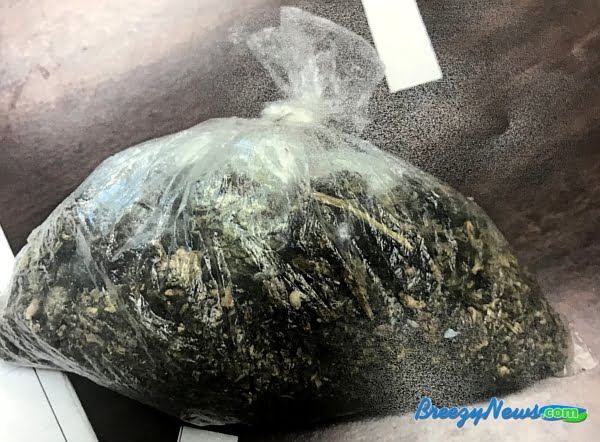 One Arrested in Sallis on Drug Charges