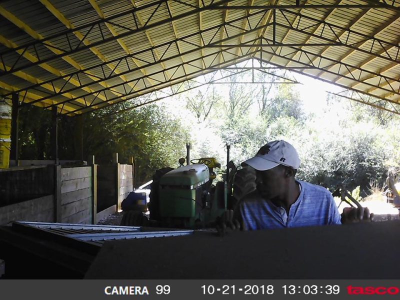 Farm Burglary 1