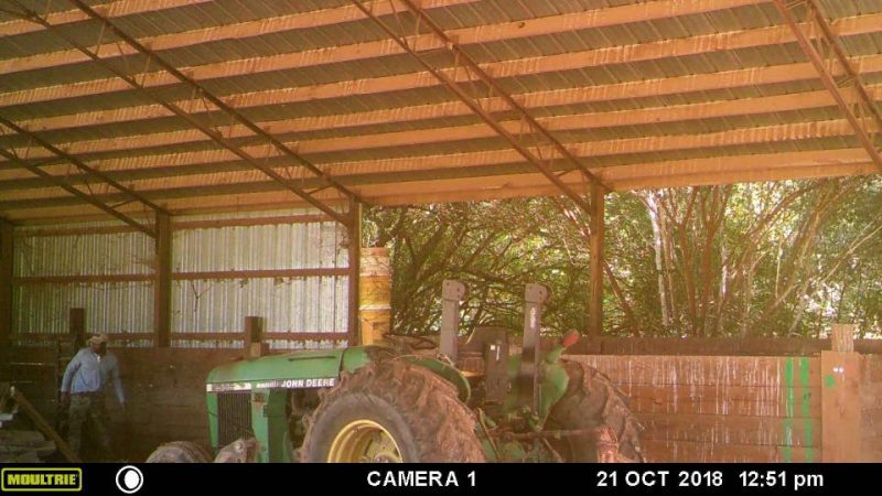 Farm Burglary 2
