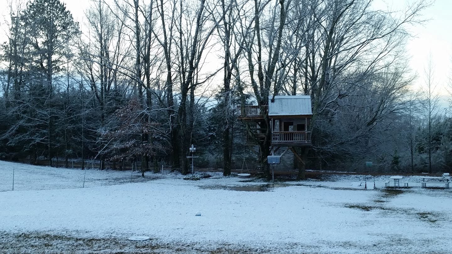 Snowy scenery of Attala County (photo gallery)