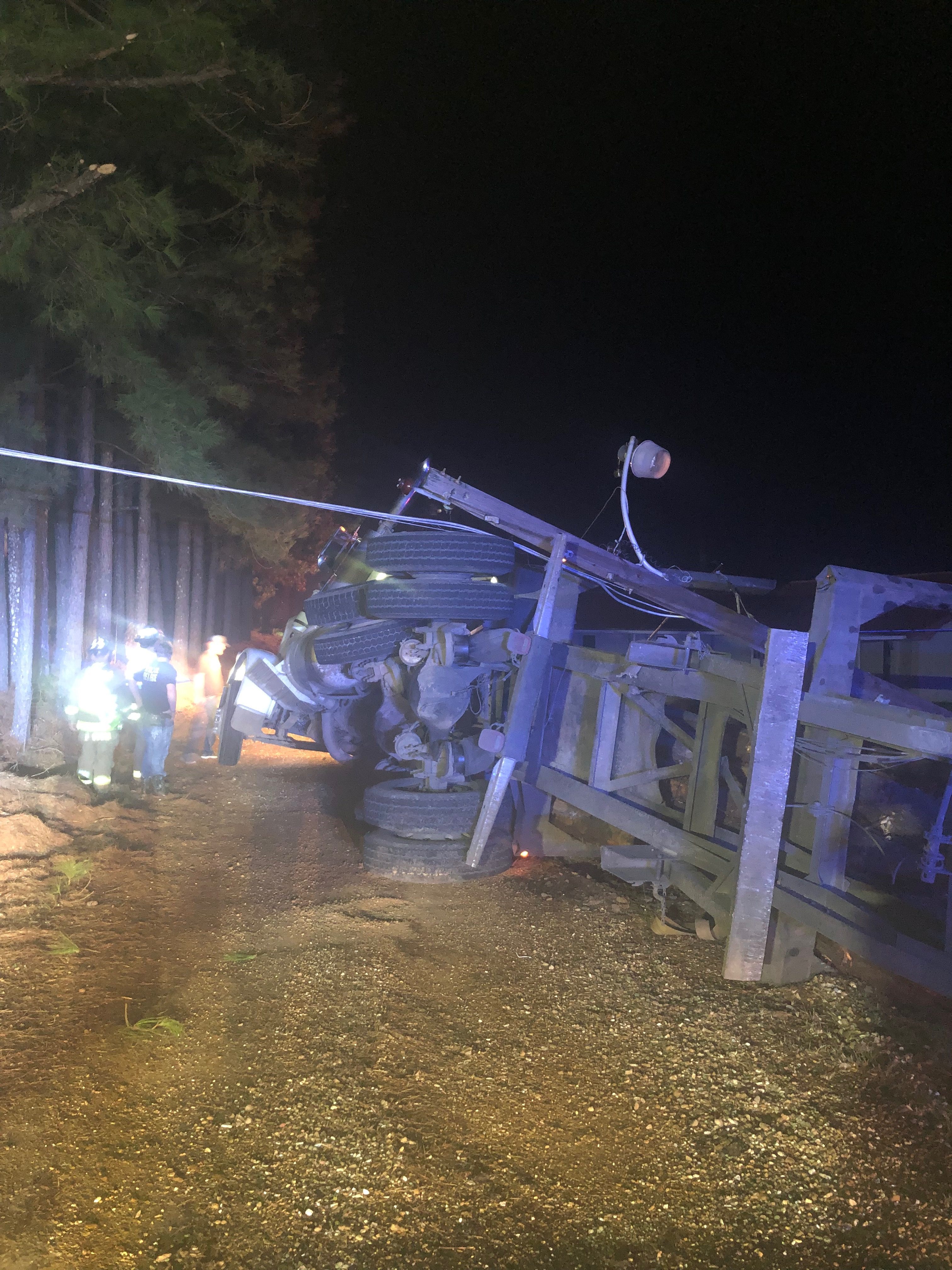 Log truck collides with light pole