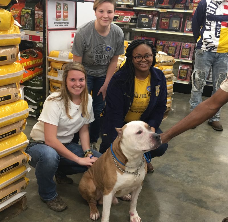 FFA Tractor Supply 3
