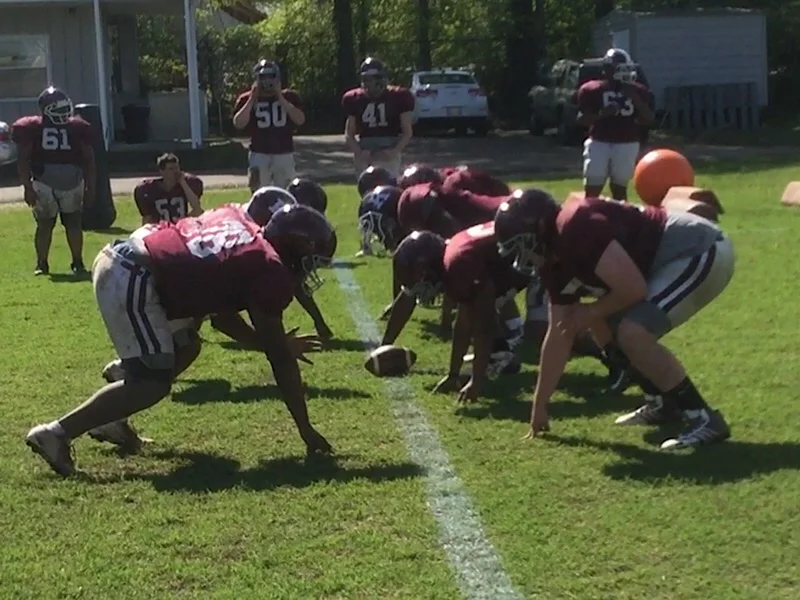 Whippets start spring football practice (video)