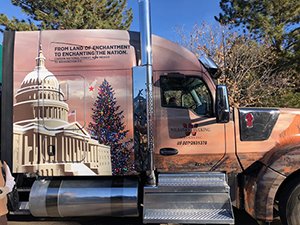 Local Resident Eyes the National Christmas Tree