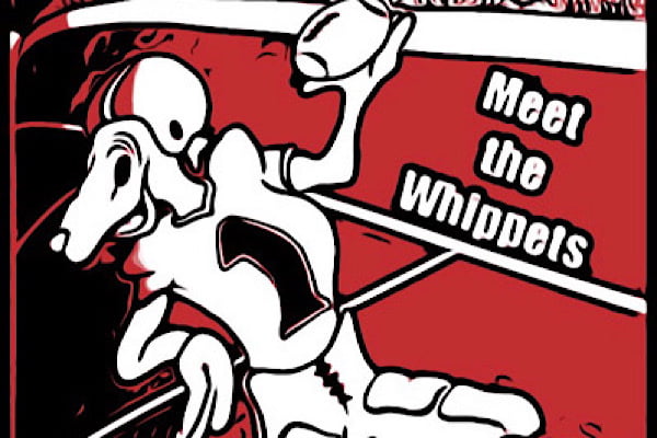 Virtual Meet the Whippets – Videos