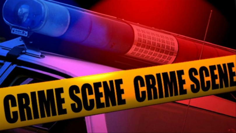 Updated: Escaped Cattle and Two Trailers Stolen in Attala