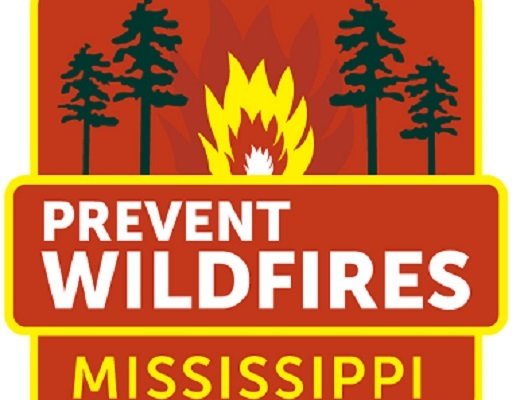 Weather Service Issues Fire Danger Statement