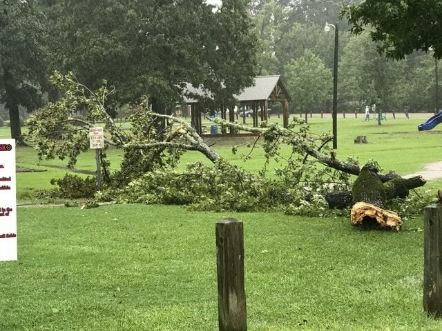 Photo: wind damage at Jason Niles Park