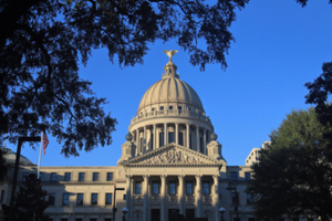 Senate Unveils Tax Relief Plan