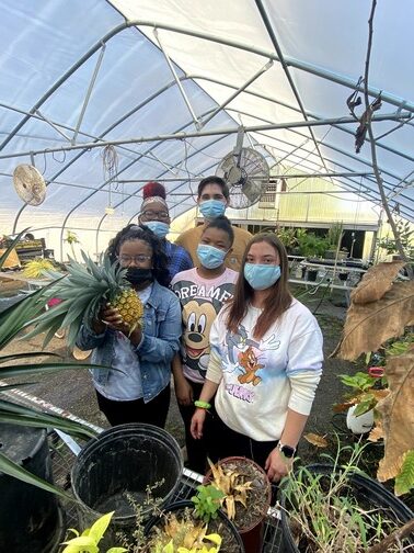 Photo: Career-Tech students learn about plant propagation
