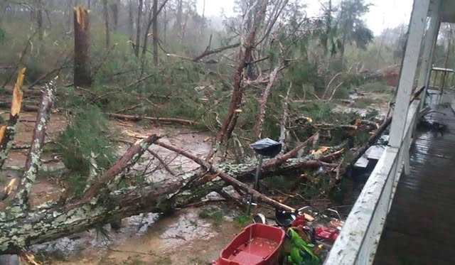 Photos: Storm Damage Reported Locally