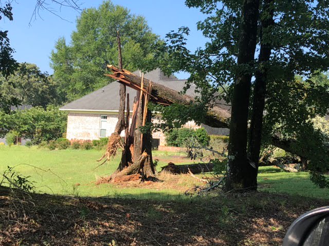 Photo gallery: storm damage on Golf Course Road