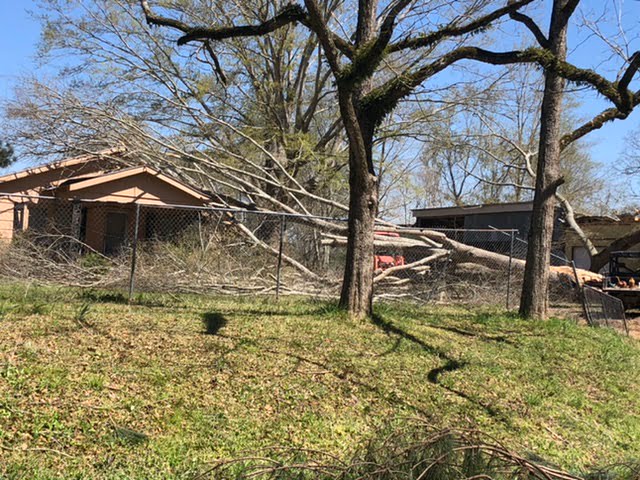 NWS Surveying Local Storm Damage Today