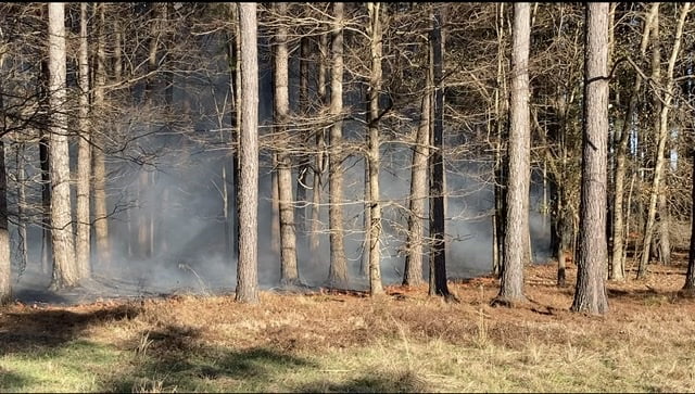 Video: Fire south of Kosciusko burns over 250 acres