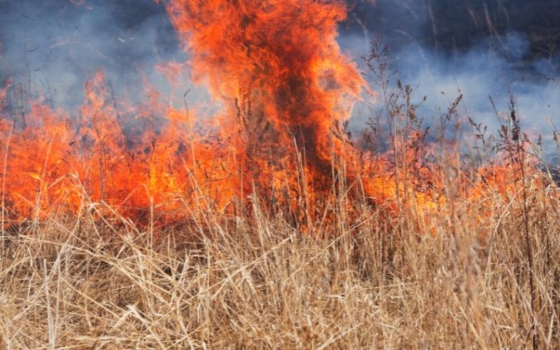 A Busy Day for Attala Firefighters