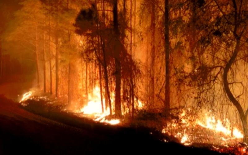 Another Woods Fire on County Road 5205