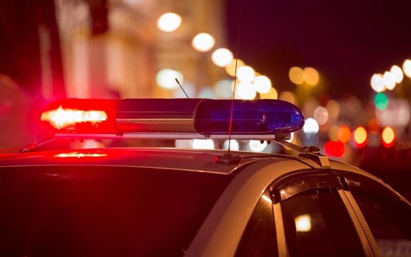 Updated – Cows Loose and Neighbor Disputes in Attala Monday