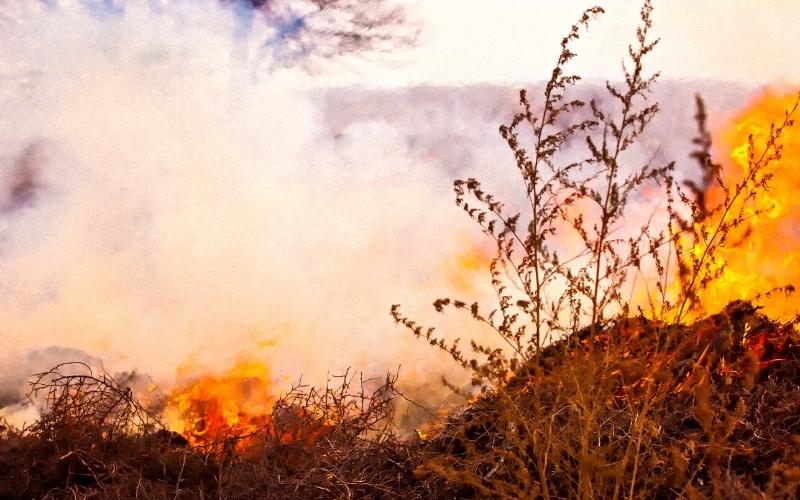 Grass Fire Burns Field, Abandoned Vehicle Sunday Afternoon