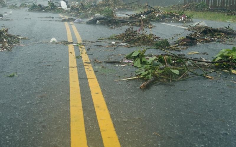 Storm Damage Reported in the Area