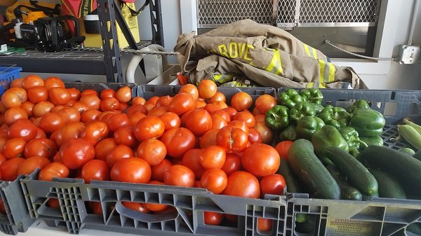 B-MO in the MO’rning – It’s a Good Friday for Local Ag Students and Plant Sales (Audio / Video)