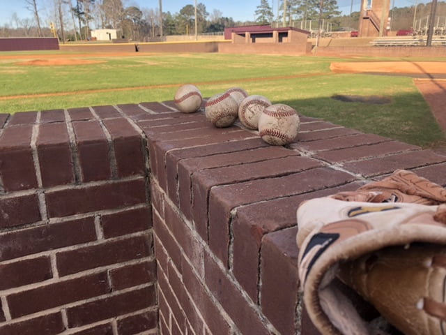 Photos: Whippets baseball and softball teams begin practice