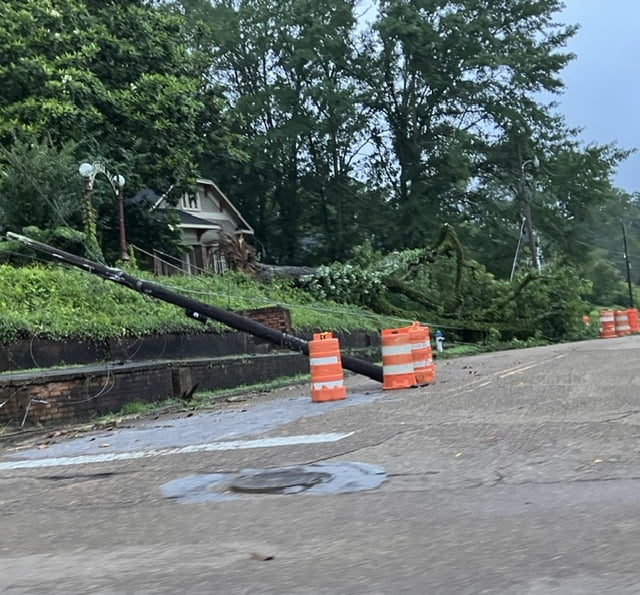 Photo: Tree and pole down on Coleman St.