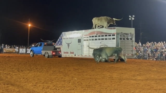 Audio: September rodeo has $70,000 economic impact in Kosciusko; city and county to consider multi-purpose venue to attract similar events