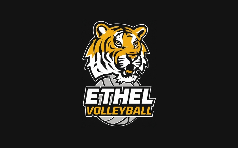 Ethel volleyball players named to All-State team