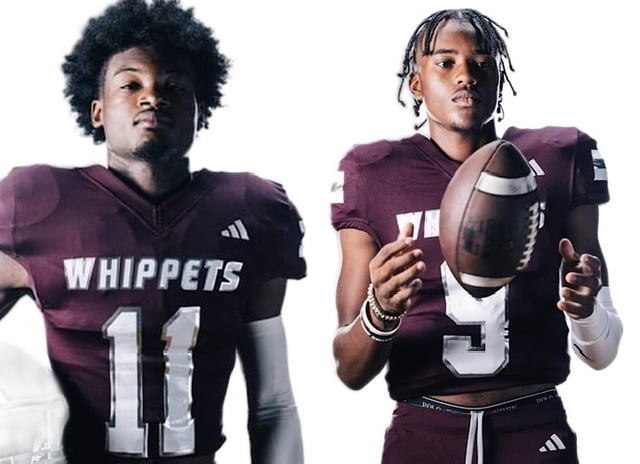 Two Whippets earn Top Performer honors