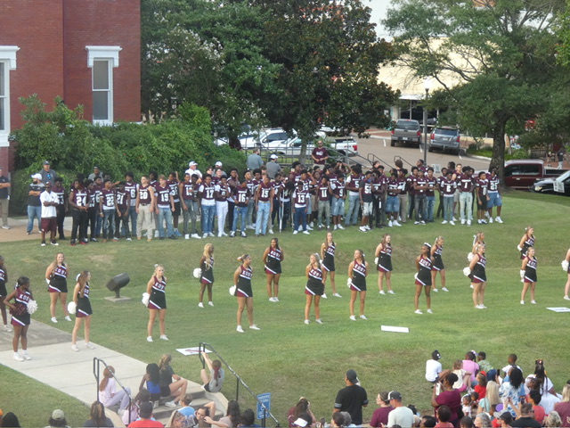 Photo gallery: Meet the Whippets