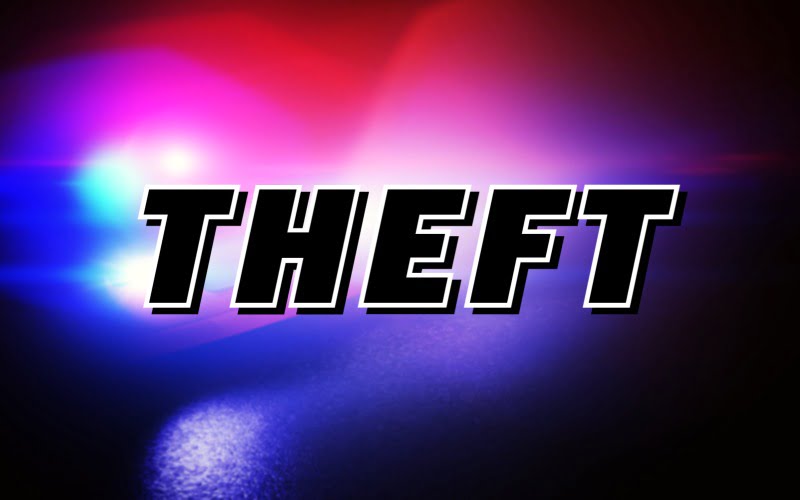 Electronic Theft Reported in Sallis