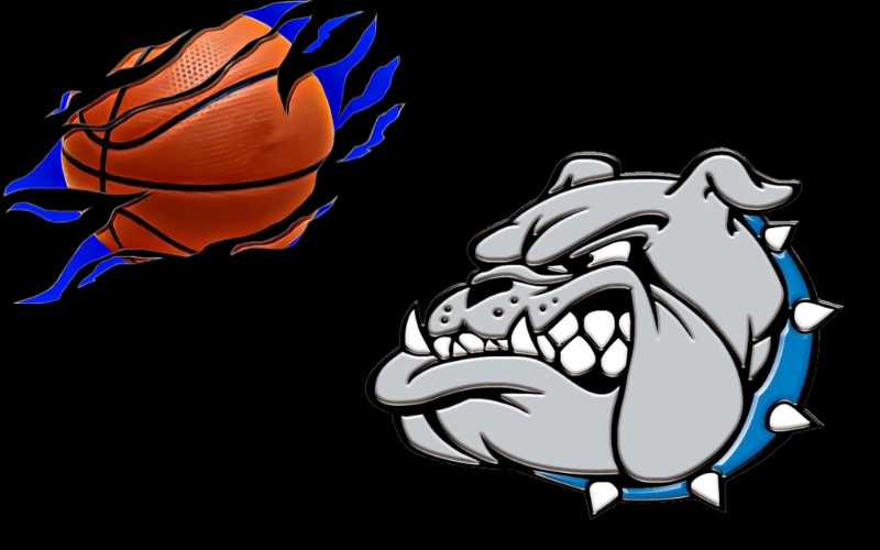 McAdams Bulldogs Advance to Championship
