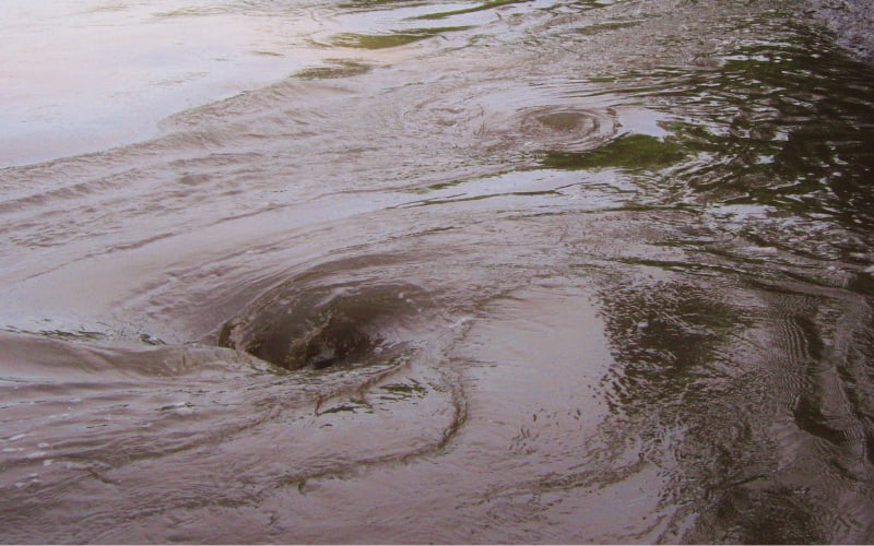 Drowning Reported at the Big Black River in Attala