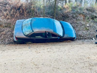 Deer Hit, Loud Music and Crowd Complaints and a Few Wrecks