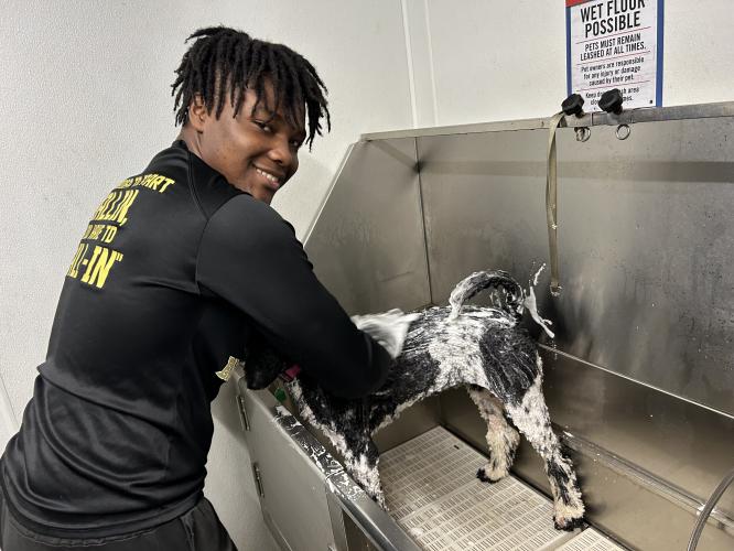 Photos: FFA Week kicks off with dog wash fundraiser