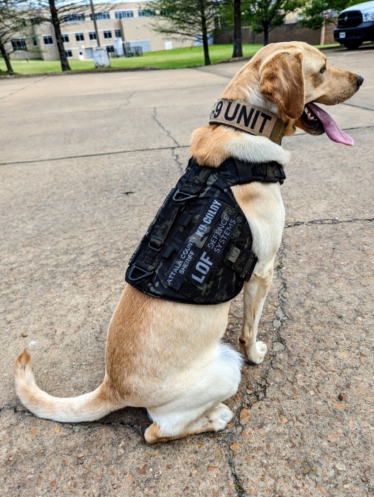 Colby K9 ballistic vest donation-