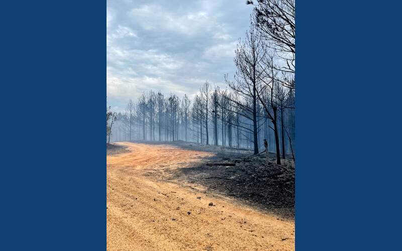Massive Woods Fire Sunday in Attala