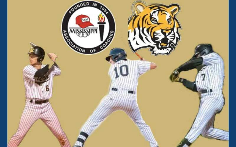 Three Ethel Tigers to play in MAC AllStar Baseball game BreezyNews