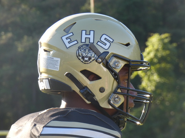 Tigers fall short in hard-fought season opener