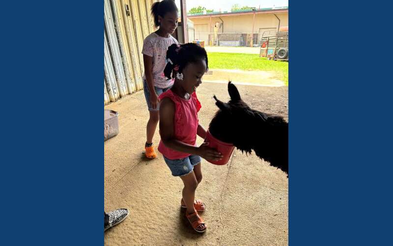 Photo gallery: Attala County Library holds petting zoo