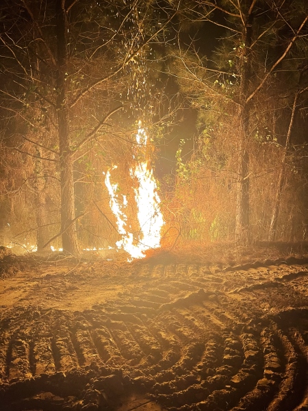 Attala Fires