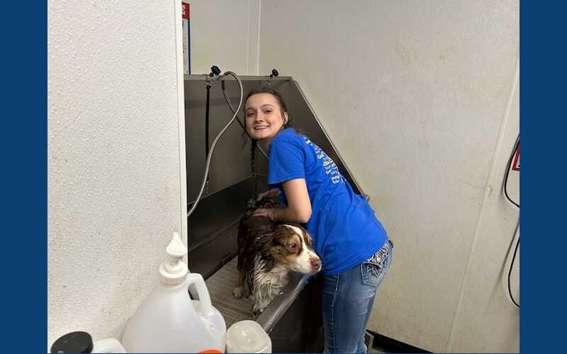 Photos: Attala County FFA hosts Dog Wash at local business