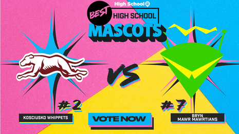 Update: Voting now open for 2nd round of Si.com National Mascot Challenge