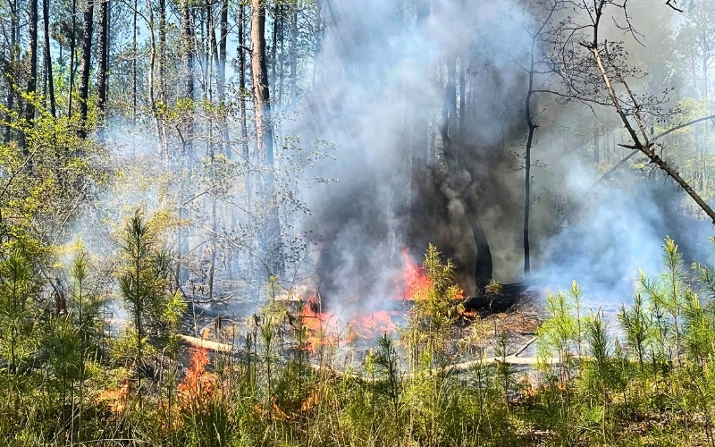 Woods Fire Reported on Attala Rd. 5015 Wednesday Afternoon