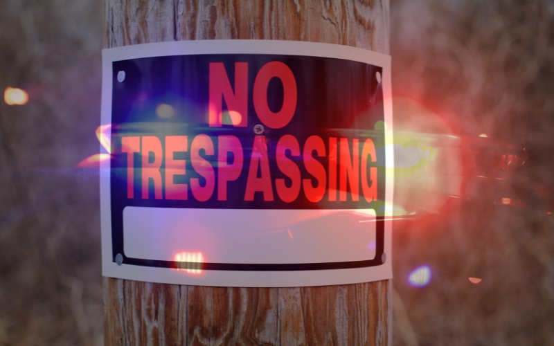 Felony False Pretenses, Trespassing, and Drug Charges in Leake and Attala